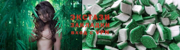 винт Ельня