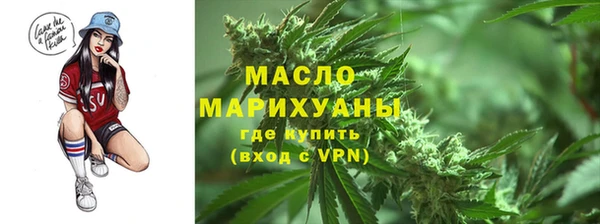 винт Ельня