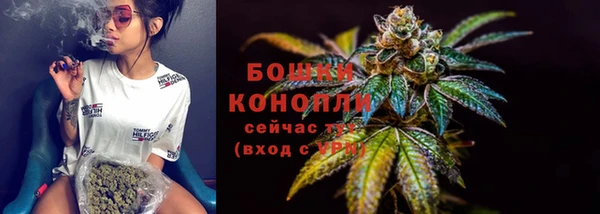 МДПВ Елизово