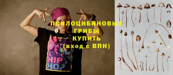 винт Ельня