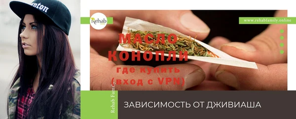 винт Ельня