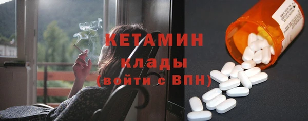 винт Ельня