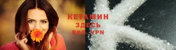 винт Ельня