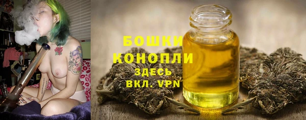 МДПВ Елизово