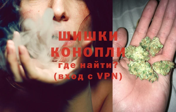 винт Ельня