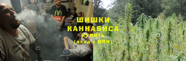 МДПВ Елизово