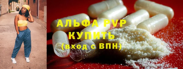 винт Ельня