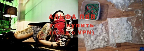 винт Ельня